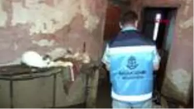 1 - Evini su basan yaşlı kadın 21 kedisi için ağladı; evden çıkmak istemedi 1 - Evini su basan yaşlı kadın 21 kedisi için ağladı; evden çıkmak istemedi