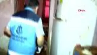 1 - Evini su basan yaşlı kadın 21 kedisi için ağladı; evden çıkmak istemedi 1 - Evini su basan yaşlı kadın 21 kedisi için ağladı; evden çıkmak istemedi