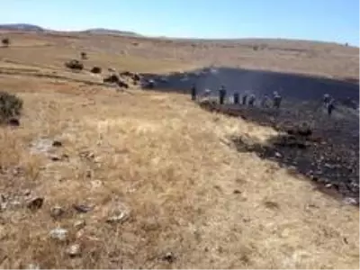 Çınar'da 30 dönümlük ekili arazi kül oldu Çınar'da 30 dönümlük ekili arazi kül oldu