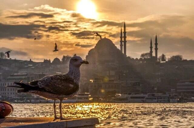 İstanbul'un doğal tarihi ve kültürel varlıkları nelerdir? İstanbul'un 7 tepesi nerelerdir? İstanbul'un doğal tarihi ve kültürel varlıkları nelerdir? İstanbul'un 7 tepesi nerelerdir?