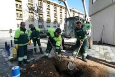 Konak'ta park düzenleme çalışmalarında yeni model Konak'ta park düzenleme çalışmalarında yeni model