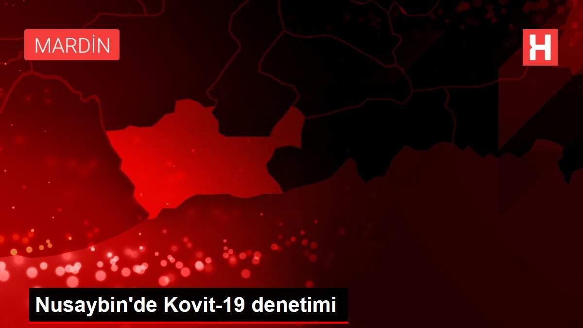 Nusaybin'de Kovit-19 denetimi