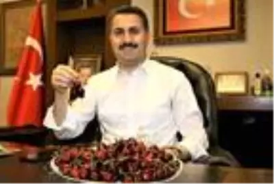 Tokat kirazı, sosyal medyada ilgi gördü Tokat kirazı, sosyal medyada ilgi gördü