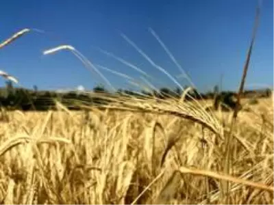 Son dakika haberi: Türkiye'de ilk kez Kırıkkale'de uygulamaya konuldu: Çiftçilere özel MOBEK projesi Son dakika haberi: Türkiye'de ilk kez Kırıkkale'de uygulamaya konuldu: Çiftçilere özel MOBEK projesi