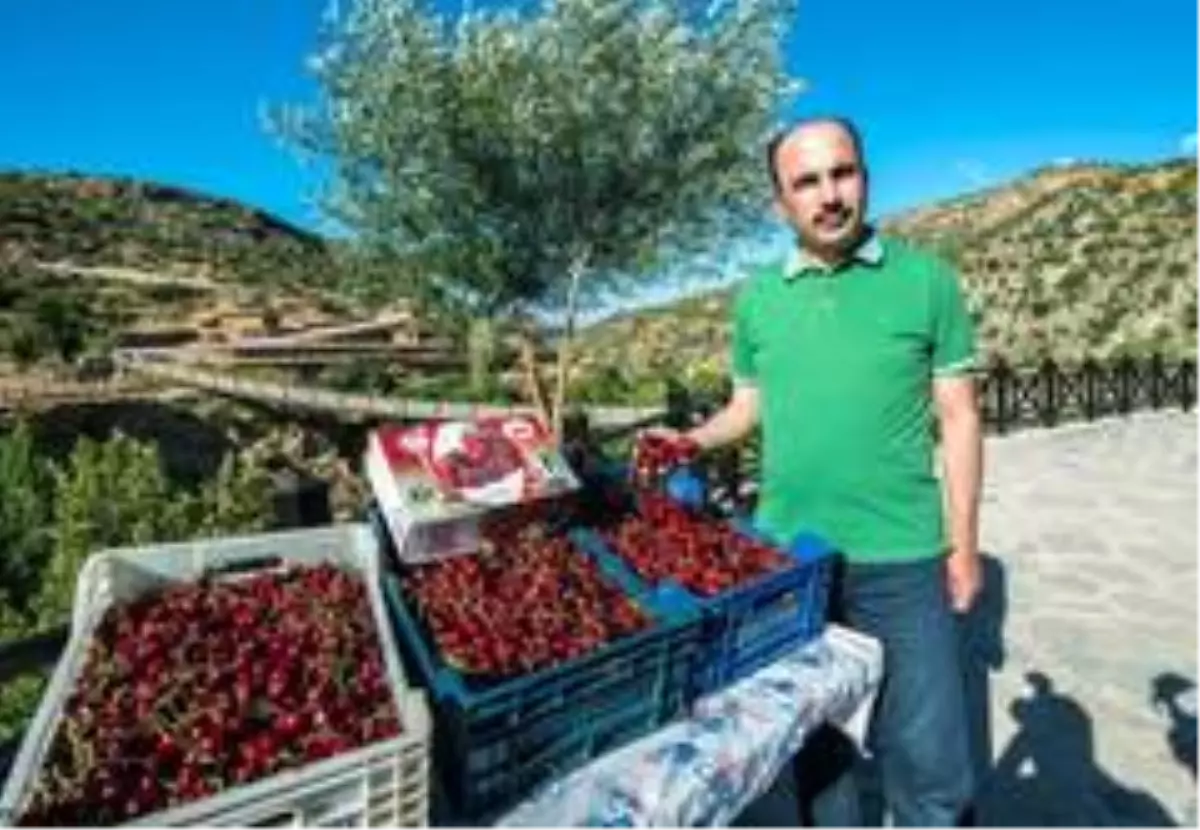 Başkan Altay &quot;Konya, Türkiye�nin gıda güvenliğini sağlıyor&quot; Haberler
