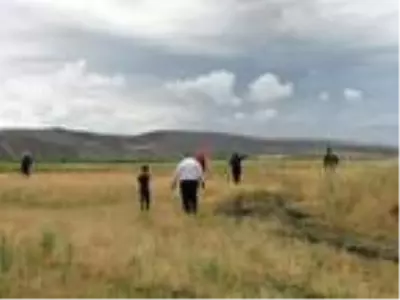 Çorum Valisi Çiftçi: Aslan emaresine rastlamadık Çorum Valisi Çiftçi: Aslan emaresine rastlamadık