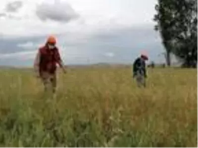 Çorum Valisi Çiftçi: Aslan emaresine rastlamadık Çorum Valisi Çiftçi: Aslan emaresine rastlamadık