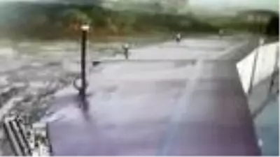 Esenyurt'ta fırtına hayvan barınağını böyle vurdu