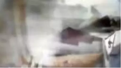 Esenyurt'ta fırtına hayvan barınağını böyle vurdu