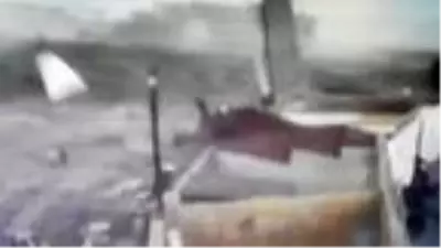 Esenyurt'ta fırtına hayvan barınağını böyle vurdu