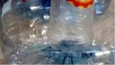 Gümüşhane'de sokak hayvanları susuz kalmıyor Gümüşhane'de sokak hayvanları susuz kalmıyor