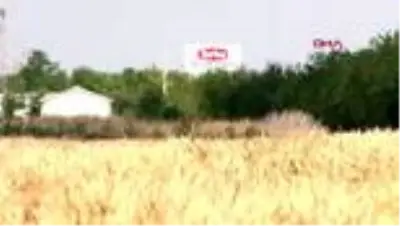 Konya Gıda ve Tarım Üniversitesinin geliştirdiği milli tohumlar, toprakla buluşacak Konya Gıda ve Tarım Üniversitesinin geliştirdiği milli tohumlar, toprakla buluşacak