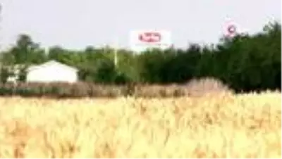 Konya Gıda ve Tarım Üniversitesinin geliştirdiği milli tohumlar toprakla buluşacak Konya Gıda ve Tarım Üniversitesinin geliştirdiği milli tohumlar toprakla buluşacak