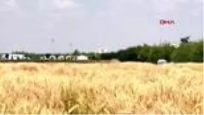 Konya Gıda ve Tarım Üniversitesinin geliştirdiği milli tohumlar, toprakla buluşacak Konya Gıda ve Tarım Üniversitesinin geliştirdiği milli tohumlar, toprakla buluşacak