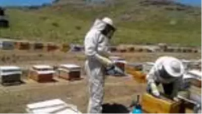 Kozluk'ta arıcıları destekleme ve geliştirme çalışmaları başladı Kozluk'ta arıcıları destekleme ve geliştirme çalışmaları başladı