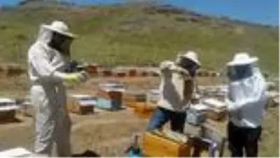Kozluk'ta arıcıları destekleme ve geliştirme çalışmaları başladı Kozluk'ta arıcıları destekleme ve geliştirme çalışmaları başladı