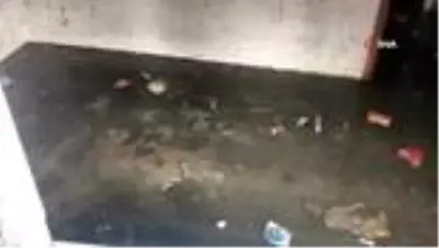 Sel felaketinin ikinci gününde yaralar sarılmaya devam ediyor
