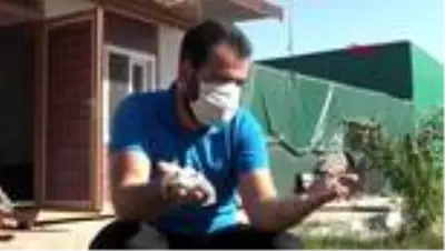 Şırnak'ta yaralı ve bitkin bulunan kuşlar tedaviye alındı Şırnak'ta yaralı ve bitkin bulunan kuşlar tedaviye alındı