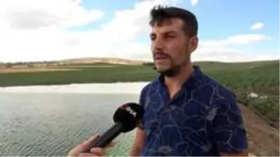 Tarım arazisini sulamak için yaptıkları dev havuzda yüzme keyfi