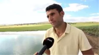Tarım arazisini sulamak için yaptıkları dev havuzda yüzme keyfi