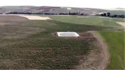 Tarım arazisini sulamak için yaptıkları dev havuzda yüzme keyfi