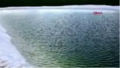 Tarlayı sulamak için yaptıkları havuzda serinliyorlar