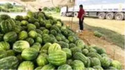 Alıcı ve satıcı tartıştı, nakliyeci 23 ton karpuzla ortada kaldı Alıcı ve satıcı tartıştı, nakliyeci 23 ton karpuzla ortada kaldı