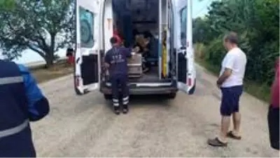 Erdek'de Pat pat ile trafik kazası 1 yaralı Erdek'de Pat pat ile trafik kazası 1 yaralı