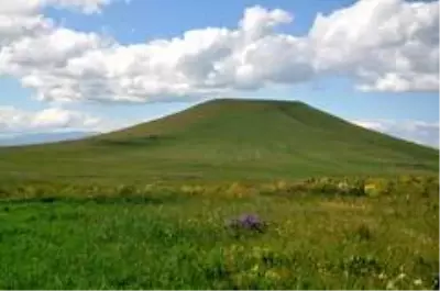 Kars'ta Kavılca buğdayı dönemi başladı