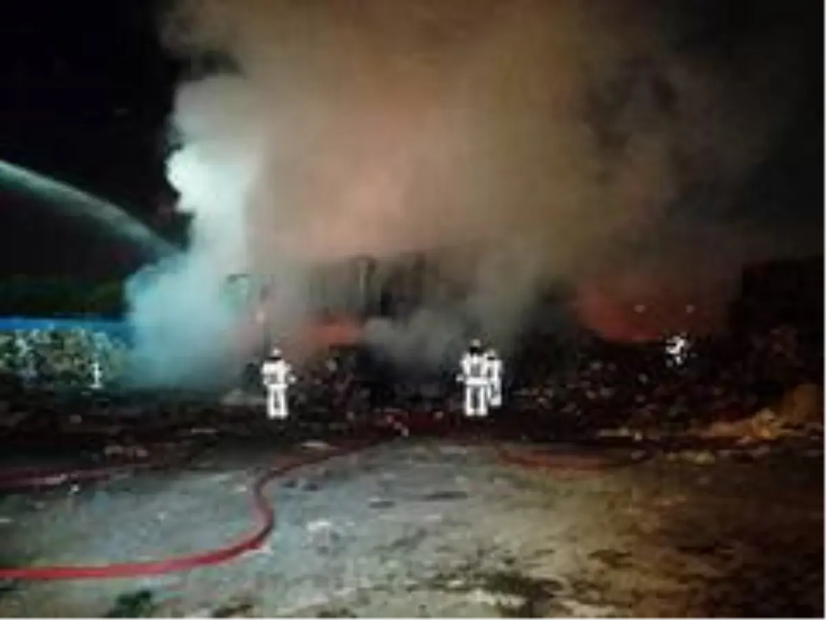 Katı atık toplama merkezi gece saatlerinde alevlere teslim oldu