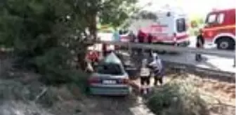 Leman: Son Dakika: Kontrolden çıkan otomobil orta refüjdeki ağaca çarptı: 3 kişi yaralandı Leman: Son Dakika: Kontrolden çıkan otomobil orta refüjdeki ağaca çarptı: 3 kişi yaralandı