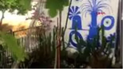 MUĞLA Bodrum’da 9 yılda 2 bin 700 kez patlayan isale hattına tepki