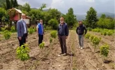 Sel sonrası tarım arazilerinde inceleme Sel sonrası tarım arazilerinde inceleme