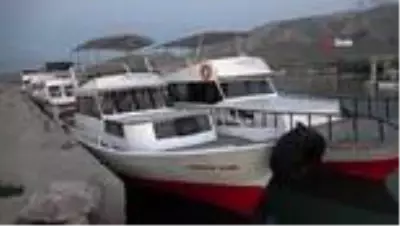 Van Gölü kıyılarındaki turizm işletmelerini sinekler istila etti Van Gölü kıyılarındaki turizm işletmelerini sinekler istila etti