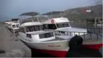 Van Gölü kıyılarındaki turizm işletmelerini sinekler istila etti Van Gölü kıyılarındaki turizm işletmelerini sinekler istila etti