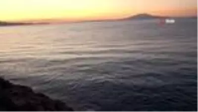 Van Gölü kıyılarındaki turizm işletmelerini sinekler istila etti Van Gölü kıyılarındaki turizm işletmelerini sinekler istila etti
