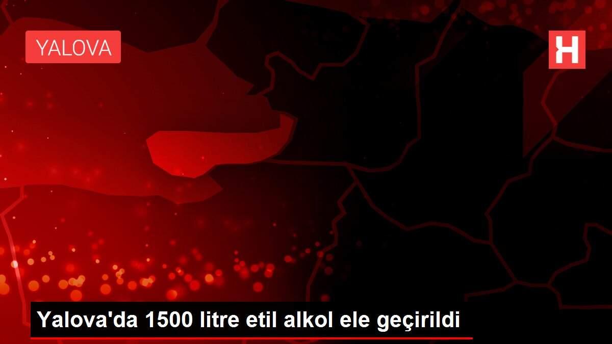 Yalova'da 1500 litre etil alkol ele geçirildi