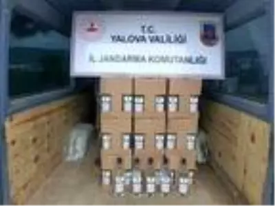 Son Dakika | Yalova'da jandarma ekipleri 1500 litre etil alkol ele geçirdi