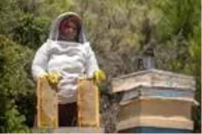 Kayınpederinin hediye ettiği 1 kovanla arıcılığa başladı şimdi 50 kovanı var Kayınpederinin hediye ettiği 1 kovanla arıcılığa başladı şimdi 50 kovanı var