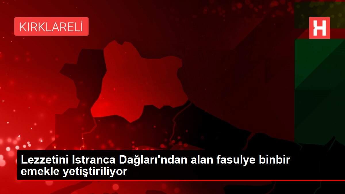 Son dakika haber! Lezzetini Istranca Dağları'ndan alan fasulye binbir emekle yetiştiriliyor Son dakika haber! Lezzetini Istranca Dağları'ndan alan fasulye binbir emekle yetiştiriliyor