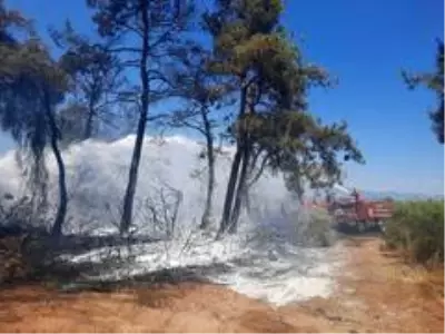 Manavgat'ta orman yangını Manavgat'ta orman yangını