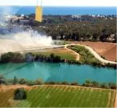 Manavgat'ta orman yangını