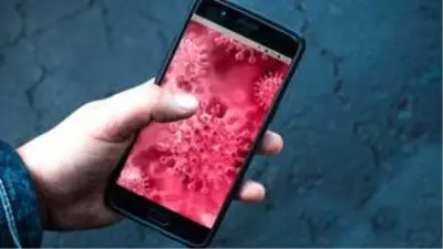N95 Maskeler Virüslerden Nasıl Arındırılır? İşte Cevabı N95 Maskeler Virüslerden Nasıl Arındırılır? İşte Cevabı