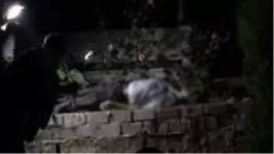 Talihsiz adam, 1 yıl önce vefat eden eşinin mezarı başında canına kıydı Talihsiz adam, 1 yıl önce vefat eden eşinin mezarı başında canına kıydı