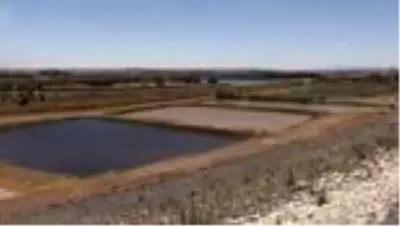10 milyon balık yavrusu, baraj göletlerindeki avcılığa katkı sunacak 10 milyon balık yavrusu, baraj göletlerindeki avcılığa katkı sunacak