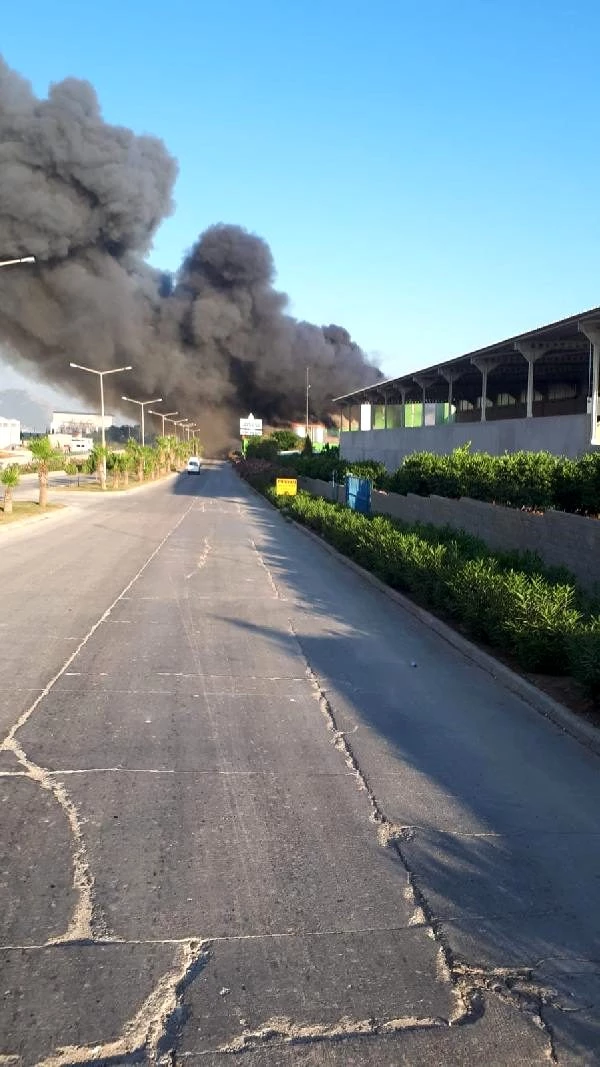 Adana'da nişasta fabrikasında yangın (1) - Haber