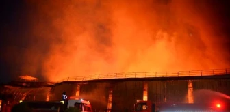 Adana'da nişasta fabrikasında yangın (4)