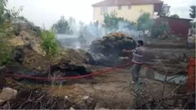 Alevler 750 adet saman balyasını kül etti