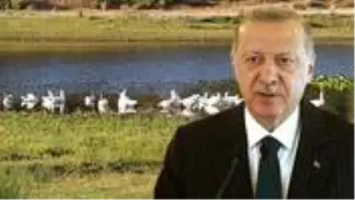 Denizli ve Muğla’da iki bölge ’kesin korunacak hassas alan’ ilan edildi