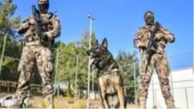 Diyarbakır Valiliği, terör şüphelisine Diyarbakır Valiliği, terör şüphelisine